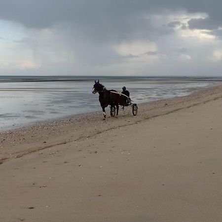 Gites "Bord De Mer" Pmr Ou "Arromanches" 2 Chambres En Front De Mer A Asnelles , 3Km D'Arromanches, 10Km De Bayeux Saint-Côme-de-Fresné المظهر الخارجي الصورة