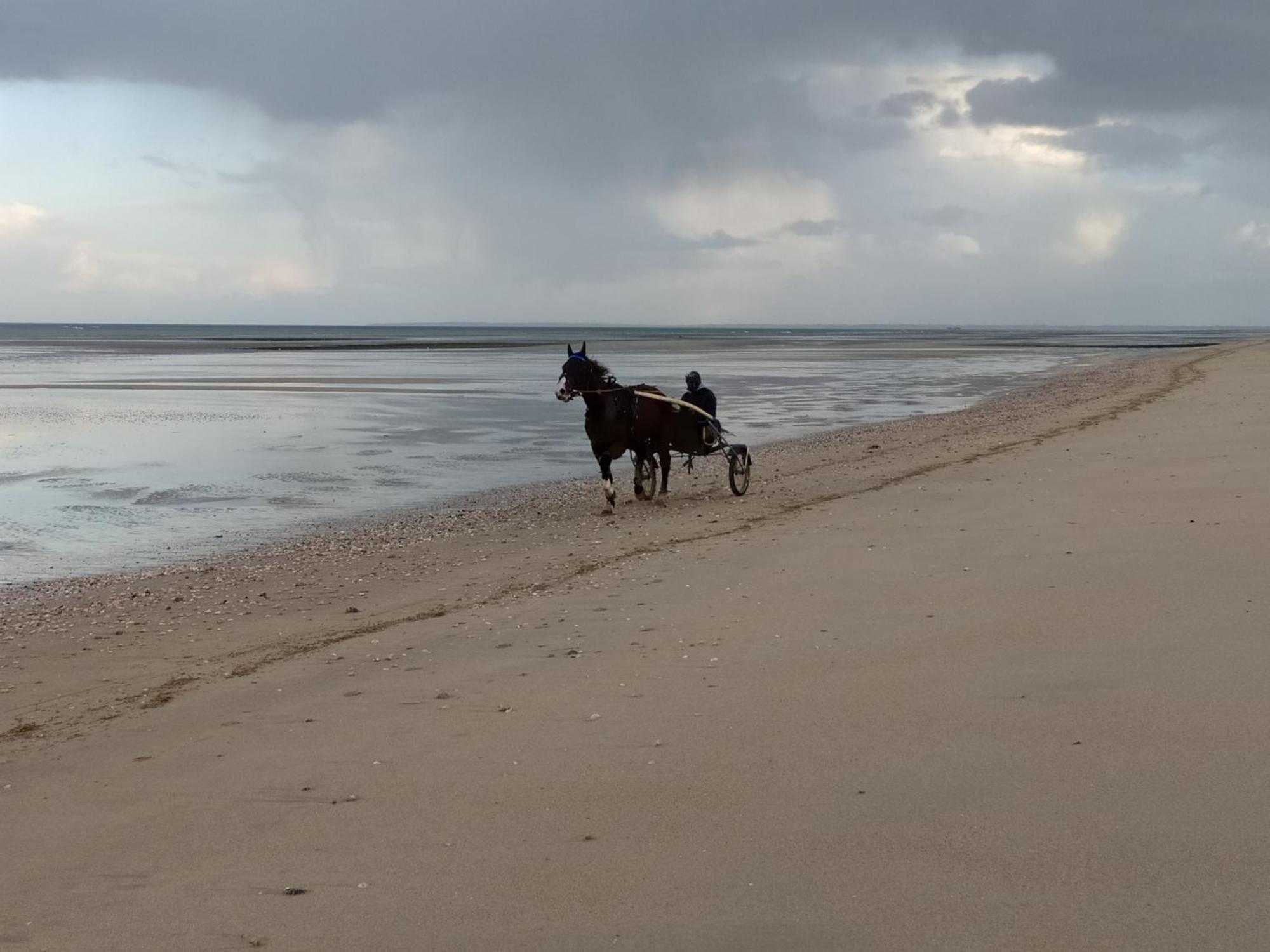 Gites "Bord De Mer" Pmr Ou "Arromanches" 2 Chambres En Front De Mer A Asnelles , 3Km D'Arromanches, 10Km De Bayeux Saint-Côme-de-Fresné المظهر الخارجي الصورة